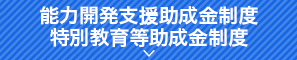 能力開発支援助成金制度　特別教育等助成金制度