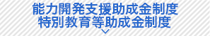 能力開発支援助成金制度　特別教育等助成金制度